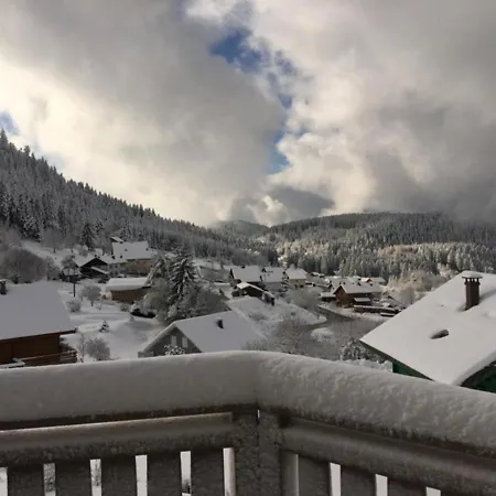 Chalet 360 L'essenti'aile, La Mauselaine シャレー